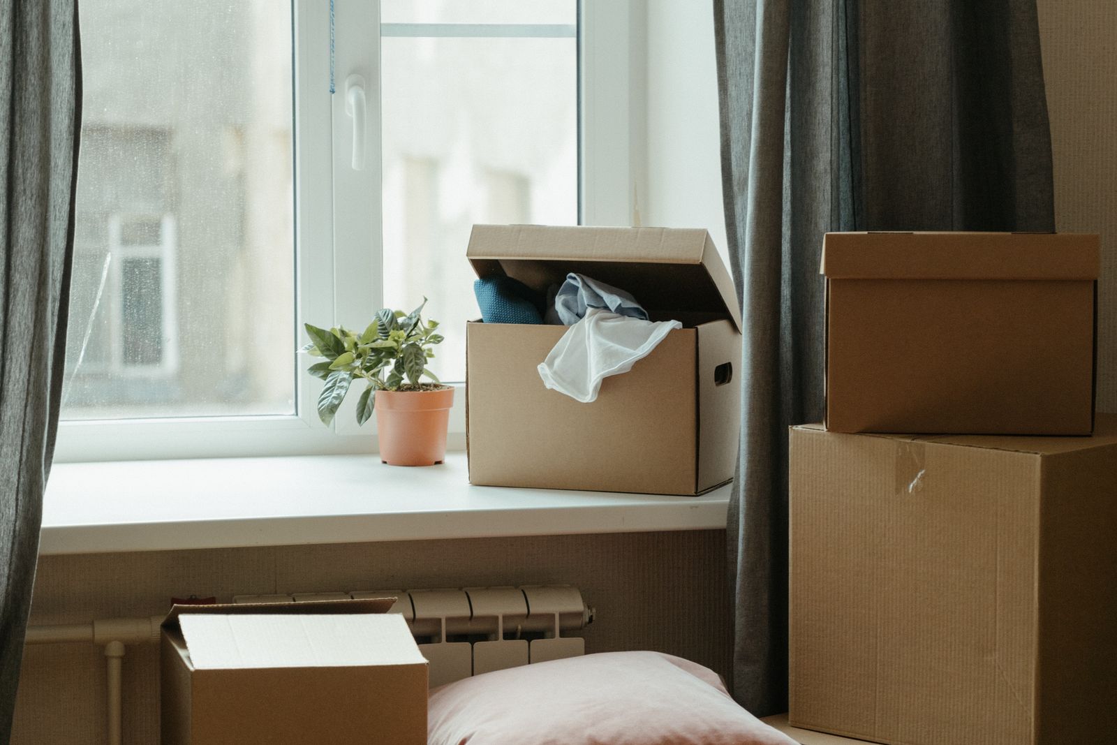 Move in cleaning